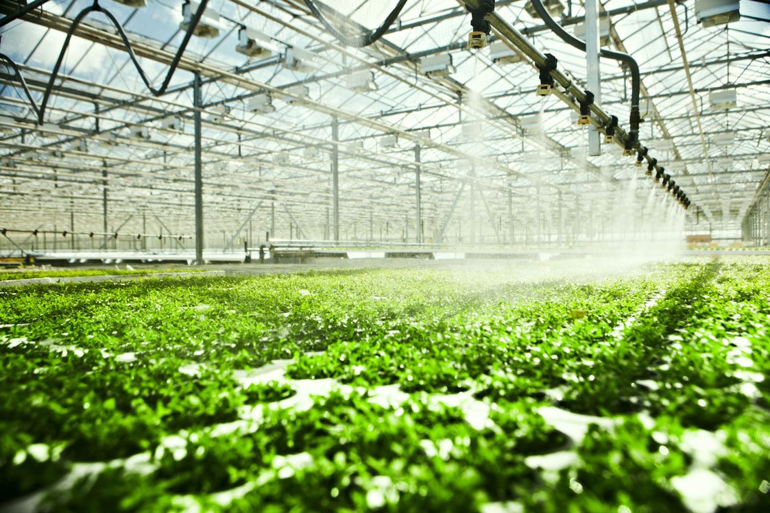 Industrial watering systems for farming are perfect cases for Smart Clamps