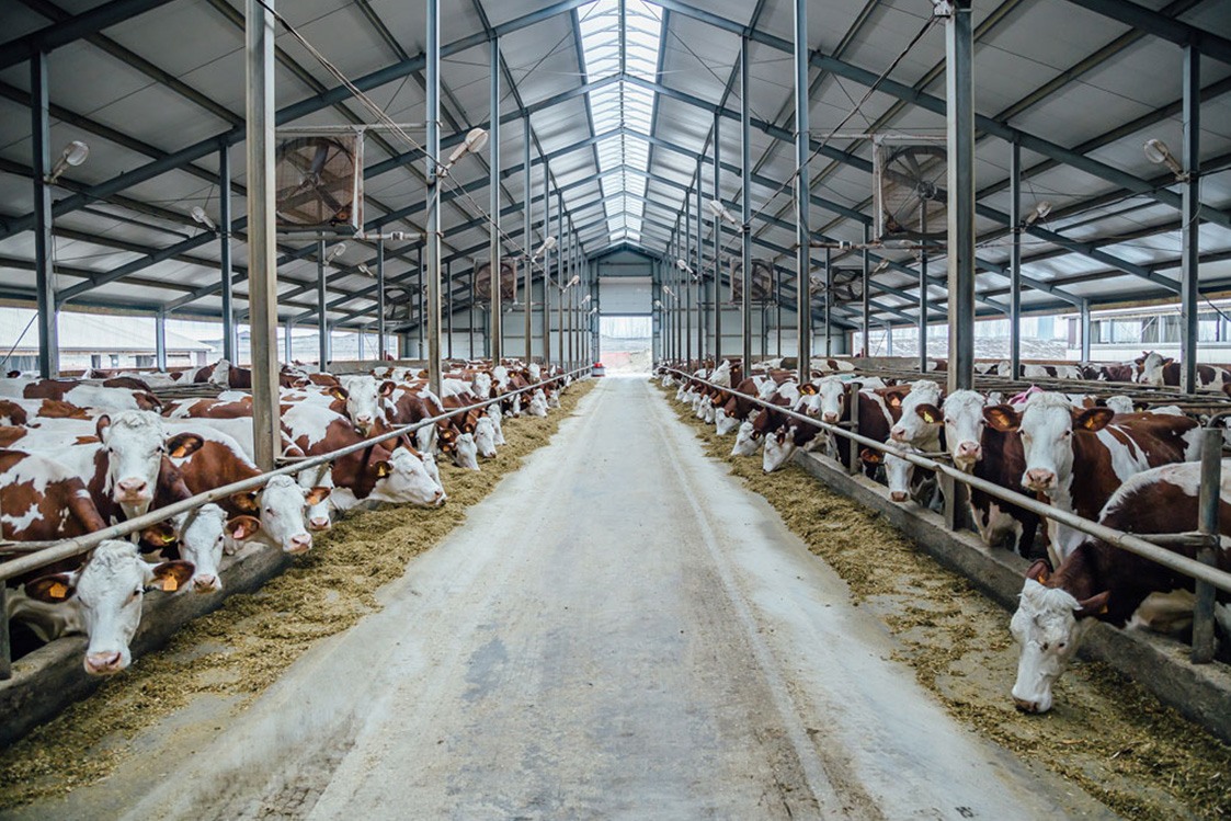Smart Clamps have a long list of agricultural applications