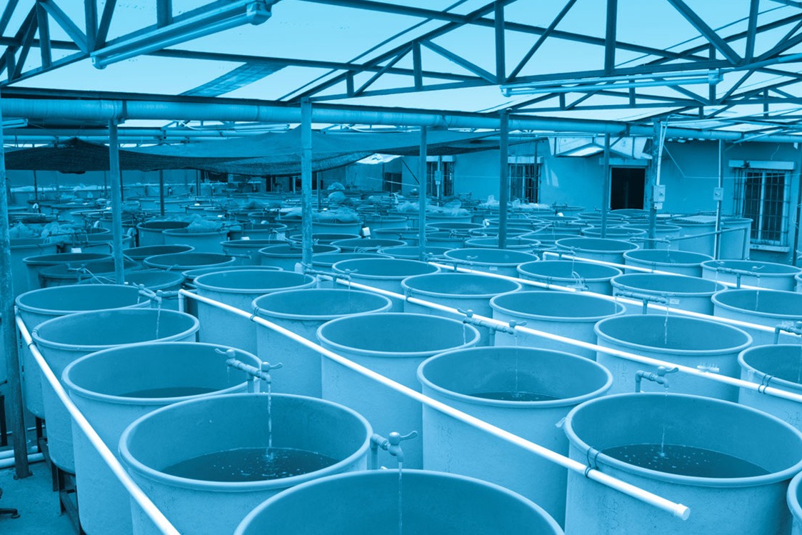 Pipes in fish farms are easier and quicker to install with the Smart Clamp